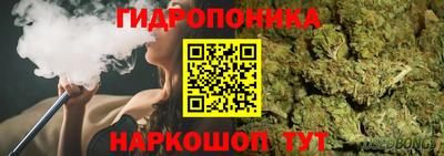 крисы Чебоксары