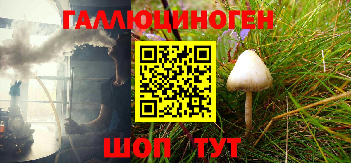 Муром  Псилоцибиновые грибы MAGIC MUSHROOMS  Вход с VPN 